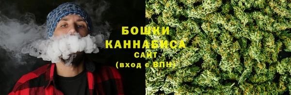 гидропоника Пересвет